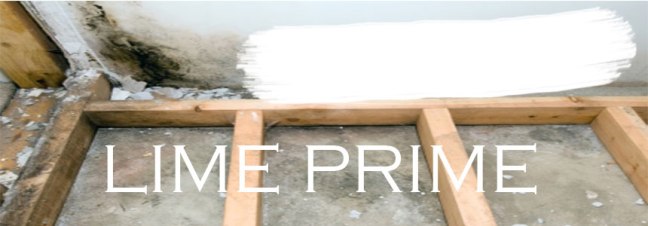 mold remediation paint project